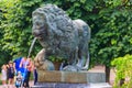 Bronze statue of lion. Fragment of fountain Lion's cascade in Lower park of Peterhof in St. Petersburg, Russia