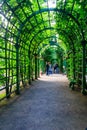 Metal arched tunnel covered with green climbing plants in old city park Summer Garden in St. Petersburg, Russia