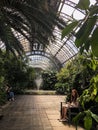 St. Petersburg, Russia - May 1, 2020, a large hall with plants in the Orangery of the Tauride Garden in St. Petersburg