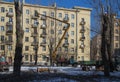 Pruning old high trees in the city