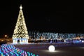 St. Petersburg, Russia. New Year and Christmas. Garlanded trees and colorful lanterns. Christmas tree in the city center