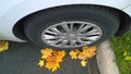 Parked old car wheel. Close up. Yellow fallen maple leaves on asphalt. Golden autumn street. Travelling concept. Driving. Automobi Royalty Free Stock Photo
