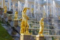 ST PETERSBURG, RUSSIA - October 7, 2014: Grand Cascade Fountains in Peterhof Palace. The Peterhof palace included in the UNESCO