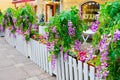 Outdoor cafe on street decorated artificial purple flowers Ivy wisteria, green plant, white fence. Cafe summer terrace. Text tran