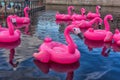 Pink inflatable flamingos in the New Holland Park