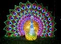Festival of huge luminous Chinese lanterns. Bright multicolored peacock