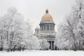 St. Petersburg in winter Royalty Free Stock Photo