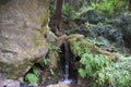 St Philip Benizi statue at The National Sanctuary of our Sorrowful Mother the Grotto in Portland, Oregon