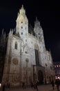 st Stephan cathedral at night in Vienna Royalty Free Stock Photo