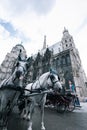 Saint Stephen`s Cathedral on the central square in Vienna, Austria Royalty Free Stock Photo