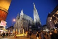 St. Stephens Cathedral in Vienna