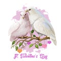 St. Valentines day holiday greeting card with couple of doves sitting on branch with doves and leaves. Digital art illustration of Royalty Free Stock Photo