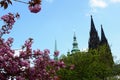 St. Vit cathedral in area of Prague castle Royalty Free Stock Photo