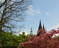 St. Vit cathedral in area of Prague castle Royalty Free Stock Photo