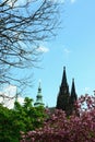 St. Vit cathedral in area of Prague castle Royalty Free Stock Photo