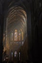 St Vitus Cathedral majestic morning misty interior. Angle, architecture. Prague Czech