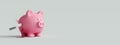 Stabbed Piggy bank with kitchen knife , business and economy concept background