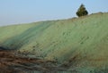 Stabilization of slopes by hydro sowing. a mixture of wood pulp and green grass seed is sprayed from the tank directly onto the ba