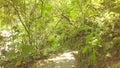 Stabilized Camera Walking On Blue Lagoon Alley