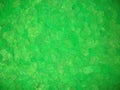 Stabilized green moss texture Royalty Free Stock Photo