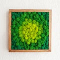Stabilized multicolored Icelandic moss in the interior. Panel of green moss on the wall. Wall decoration with moss. Green moss Royalty Free Stock Photo