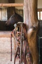 Stable box with horse harness Royalty Free Stock Photo