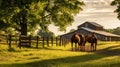 stable horses on farm