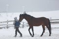 Stableman with horse in fog Royalty Free Stock Photo