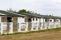 Large animals stables filled with horses