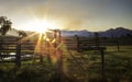 Stables by Sunset Scenic Rim, Queensland, Australia Royalty Free Stock Photo