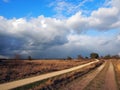 Stabrechtse heide in Heeze, Netherlands Royalty Free Stock Photo