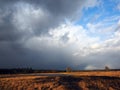 Stabrechtse heide in Heeze, Netherlands