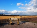 Heathland near Heeze, the Netherlands