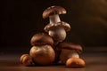 stack of balancing mushrooms, creative dark brown food background. Free space for text. Generative AI