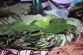 Stack of Betel leaves or Piper Betle kept at home