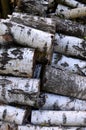 A stack of birch logs - wooden background, lumbering