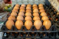 Stack of black trays and paper boxes full of natural light brown chicken eggs selling in local food market, selective focus Royalty Free Stock Photo