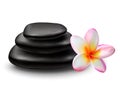 Stack of black zen stones with plumeria flower Royalty Free Stock Photo