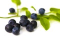 Stack of blueberries isolated on white with clipping path Royalty Free Stock Photo