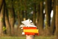 Stack of book and Open hardback book on blurred nature landscape backdrop. Copy space, back to school. Education background. Royalty Free Stock Photo