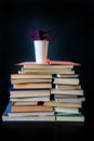 Stack books black background flower library old lot of pot plant