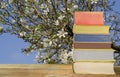 stack of books with spring flowers in the background free copy space, springtime holidays and relaxing concept