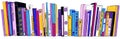 Stack of Books on bookshelves colorful illustration