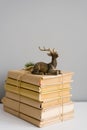 A stack of books in a craft cover, tied with twine, on the books is a statuette of a sitting deer