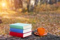 Stack of books and a cup of hot coffee on old wooden table in the forest at sunset. Back to school. Education concept.