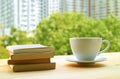 Stack of books and a cup of hot drinks on a table by the window with blurred green foliage in background Royalty Free Stock Photo