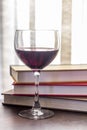 Stack of Books Glass of Wine