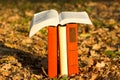 Stack of books and Open hardback book on blurred Royalty Free Stock Photo