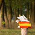 Stack of books and Open hardback book on blurred Royalty Free Stock Photo