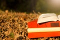 Stack of books and Open hardback book on blurred nature landscape backdrop. Copy space, back to school. Education Royalty Free Stock Photo